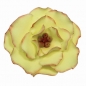 Preview: Cutter Set - Briar Rose / Round